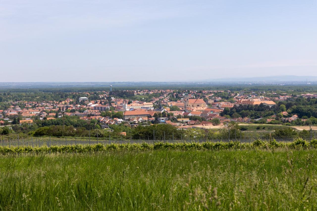 Penzion Alenka Valtice Exterior foto